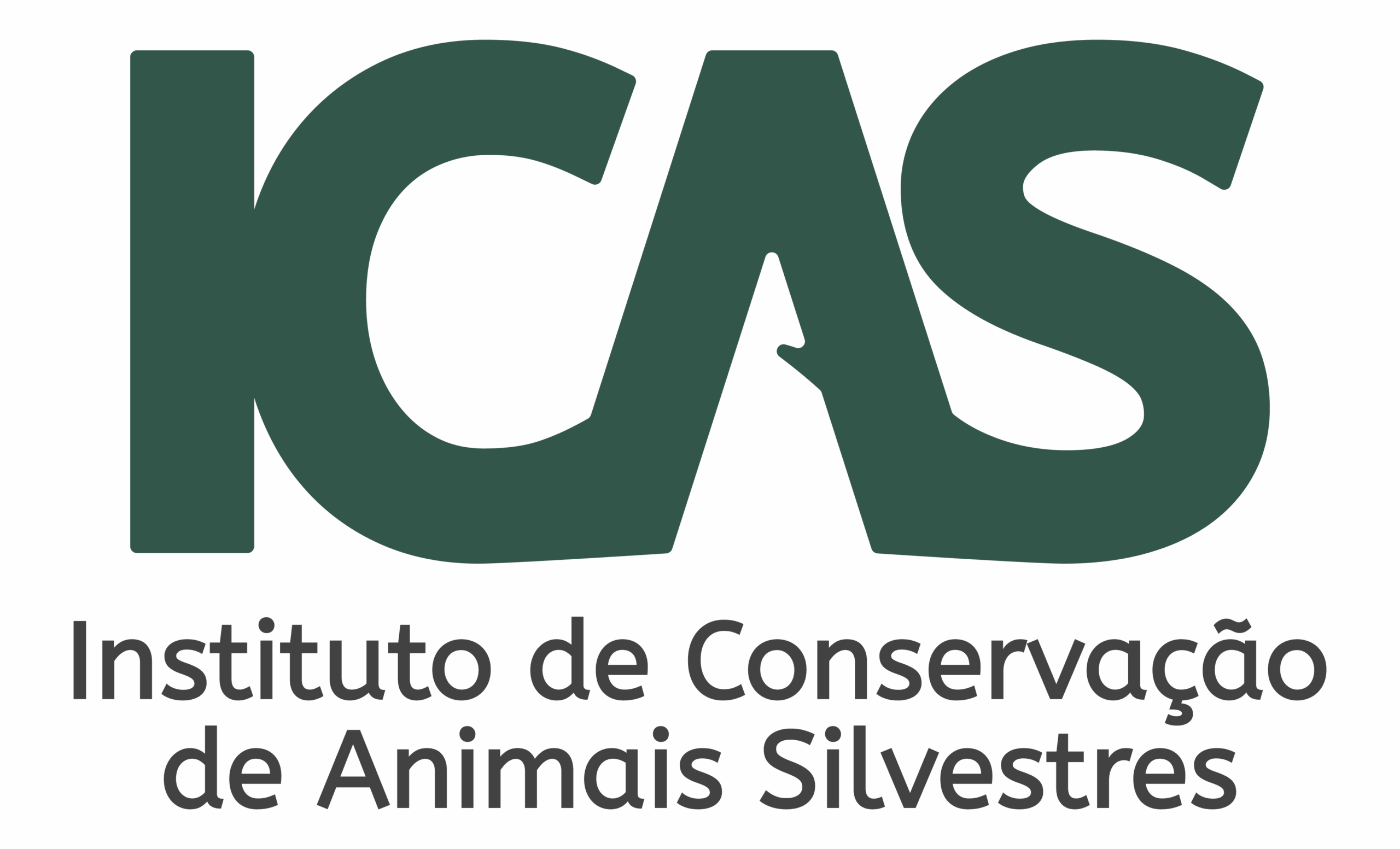 Logo-ICAS